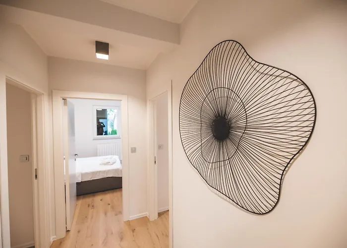 Visore - Renea * オパティヤ